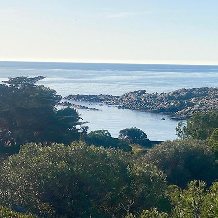 Maison De Pecheur Superbe Vue Mer, Grand Jardin Cadaqués Exterior foto
